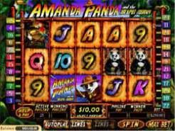 Amanda Panda Slots